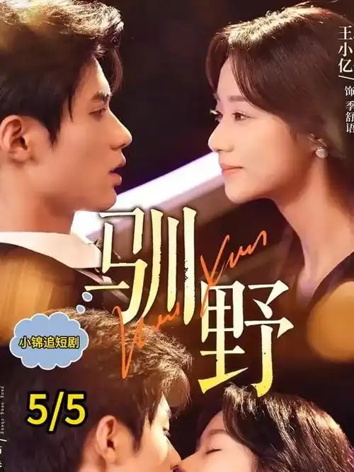 山海食堂 治愈日剧在线观看